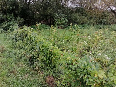 Eladó Telek 2060 Bicske Bicske Máléhegy