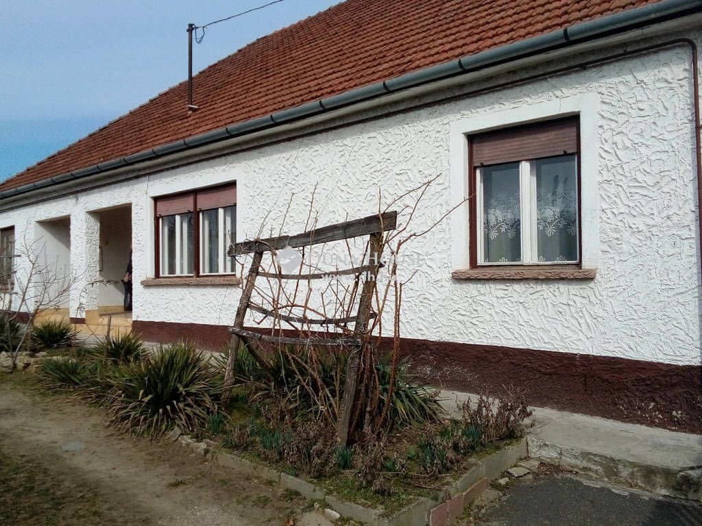4700 Mátészalka , Mátészalka — 1/19