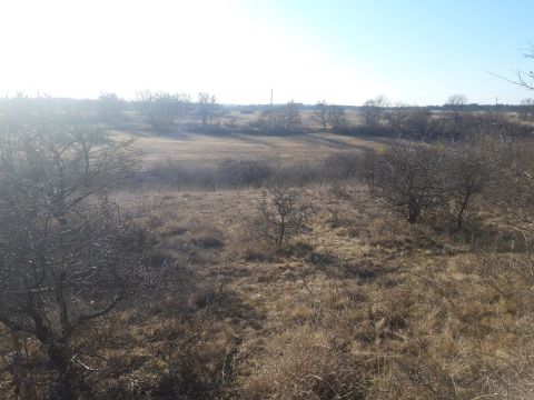 Eladó Telek 8220 Balatonalmádi , Erdei Panorámás