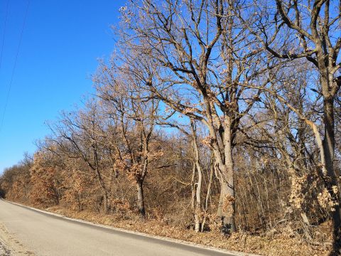 Eladó Telek 8242 Balatonudvari 