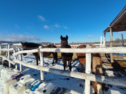 Eladó Telek 2510 Dorog Dorog Ipari park mögött