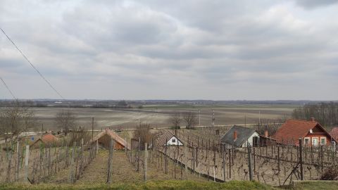 Eladó Telek 2457 Adony , a Szőlőhegyen, panorámával