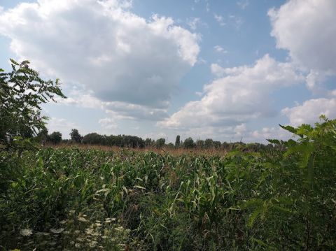 Eladó Telek 2310 Szigetszentmiklós 