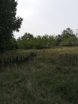 Eladó Mezőgazdasági 2162 Őrbottyán 