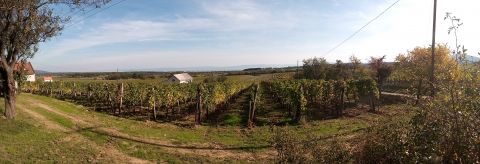 Eladó Telek 8272 Tagyon Zánka, Tagyon - Örök Panoráma - Természetvédelmi terület