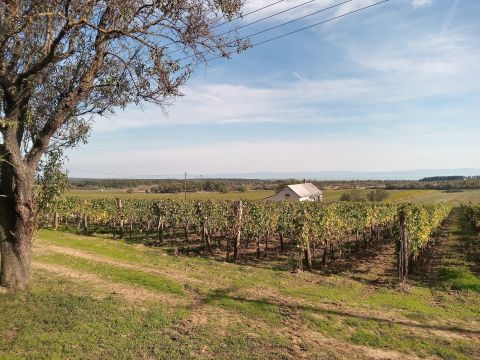 Eladó Telek 8272 Tagyon , Zánka, Tagyon - Örök Panoráma - Tiny Home