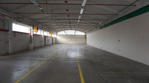Kiadó Ipari 8900 Zalaegerszeg 