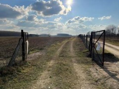 Eladó Mezőgazdasági 2730 Albertirsa , Albertirsa külterület