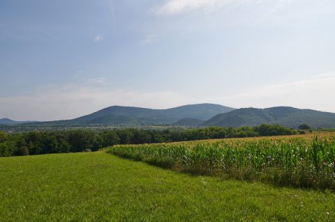 Eladó Telek 2097 Pilisborosjenő , Pilisborosjenő 1890 m2 telek eladó