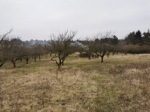 Eladó Telek 9700 Szombathely Erdei iskola u.