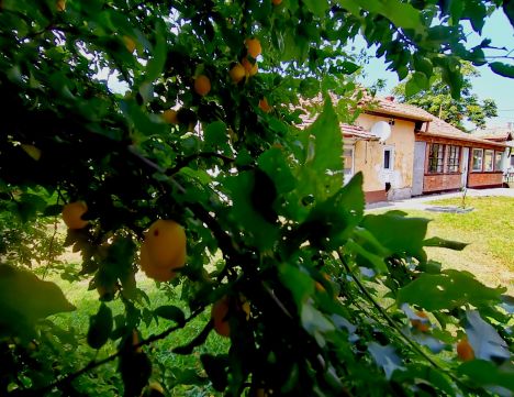 Eladó Ház 3386 Sarud 