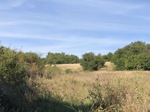 Eladó Mezőgazdasági 8245 Vászoly PANORÁMÁS rét, legelő GAZDASÁGI ÉPÜLETTEL Vászoly lakóövezeténél eladó!