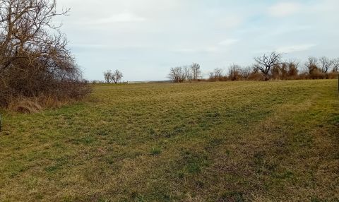 Eladó Telek 8651 Balatonszabadi Csendes környék