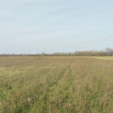 Eladó Telek 2351 Alsónémedi Alsónémedi 5-ös főút mellett egy 2,7 hektáros szántó