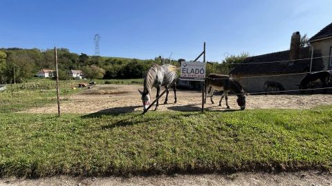 Eladó Telek 8354 Karmacs 