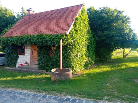 Eladó Mezőgazdasági 2091 Etyek 