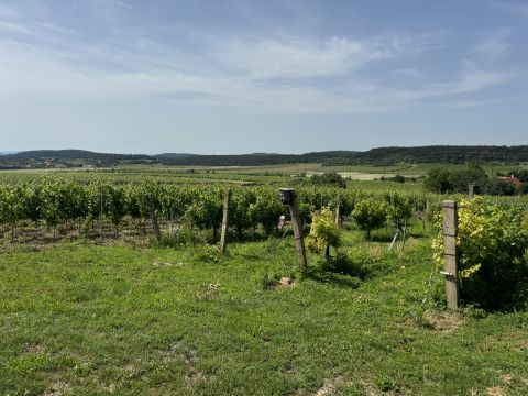 Eladó Telek 8233 Balatonszőlős Balatonszőlős