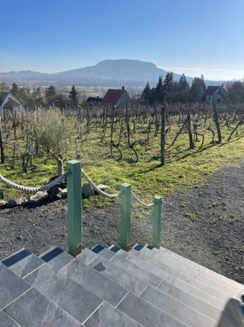 Eladó Ház 8284 Kisapáti Kisapáti, tanúhegyekre panorámás