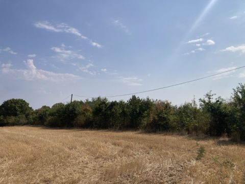 Eladó Telek 7720 Pécsvárad Dombay tó fölött rét erdő