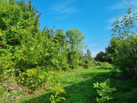 Eladó Telek 2870 Kisbér , Csendes utcában!