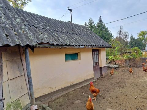 Eladó Ház 4474 Tiszabercel központhoz közel