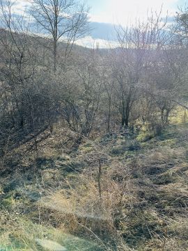Eladó Telek 2531 Tokod 