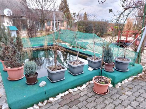 Eladó Ház 2421 Nagyvenyim 200 m2-es, 5 szobás, prémium minőségű családi ház 