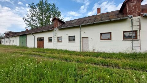 Eladó Mezőgazdasági 6786 Ruzsa 