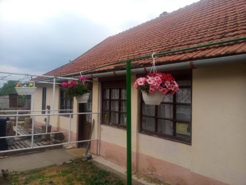 Eladó Ház 6622 Nagymágocs , Nagymágocs központ