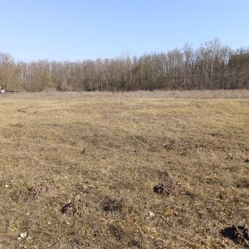 Eladó Telek 6008 Kecskemét , Eladó telek Ménteleken 