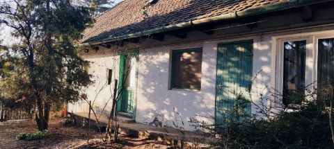Eladó Ház 2094 Nagykovácsi 2094 Nagykovácsi, Központ