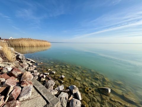 Eladó Telek 8174 Balatonkenese , 2,15 hektáros közvetlen Balaton-parti telek Eladó