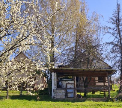 Eladó Ház 7720 Pécsvárad 