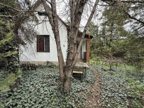 Eladó Ház 6000 Kecskemét , HALASI ÚTI KISKERTEK, 780 m2-es TELEK HOBBI ÉPÜLETTEL