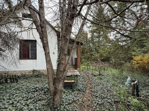 Eladó Ház 6000 Kecskemét HALASI ÚTI KISKERTEK, 780 m2-es TELEK HOBBI ÉPÜLETTEL