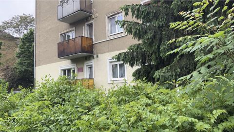 Eladó Lakás 2800 Tatabánya 
