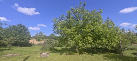 Eladó Ipari 8858 Porrog , Szomszédmentes helyen