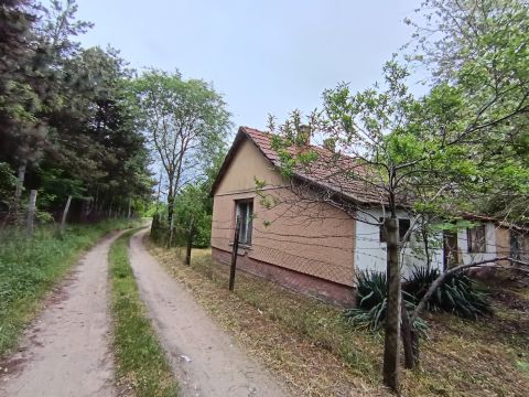 Eladó Ház 2700 Cegléd , Mandula