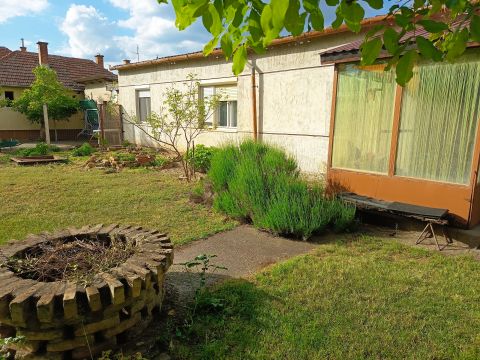 Kiadó Ház 6000 Kecskemét Állatbarát albérlet kiadó Hunyadivárosban