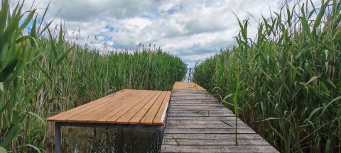 Eladó Ház 8647 Balatonmáriafürdő 