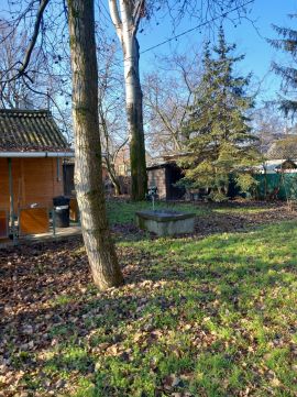 Eladó Telek 2213 Monorierdő 