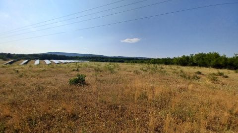 Eladó Mezőgazdasági 8242 Balatonudvari 
