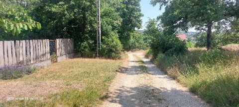 Eladó Telek 8096 Sukoró , 8096 Sukoró, erdő melletti