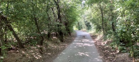 Eladó Telek 2040 Budaörs Frankhegy aszfaltozott úton elérhető