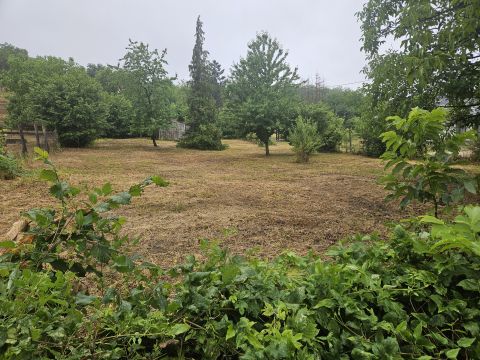 Eladó Telek 9082 Nyúl , táncsics mihály utca autóbusz forduló