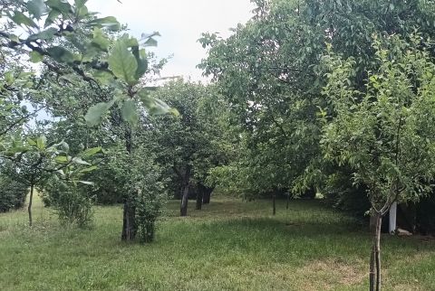 Eladó Telek 8132 Lepsény , Balatontól 10 percre, lepsényi 1079 m2 telek pincével eladó