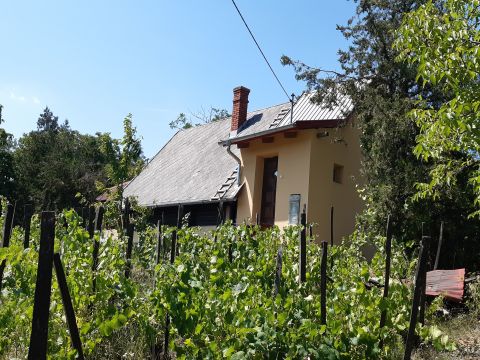 Eladó Ház 8093 Lovasberény , Kinizsi utcához közel