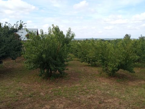 Eladó Telek 2051 Biatorbágy 
