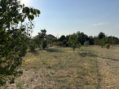 Eladó Telek 2335 Taksony , Taksony újépítésű részen