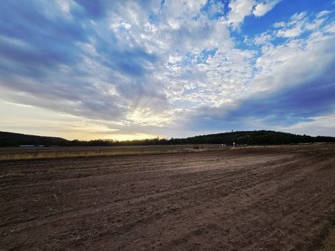 Eladó Mezőgazdasági 2146 Mogyoród 